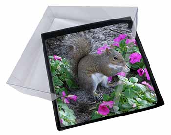4x Squirrel by Flowers Picture Table Coasters Set in Gift Box