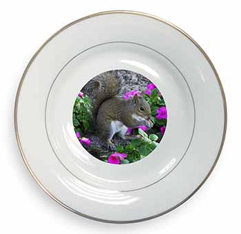 Squirrel by Flowers Gold Rim Plate Printed Full Colour in Gift Box