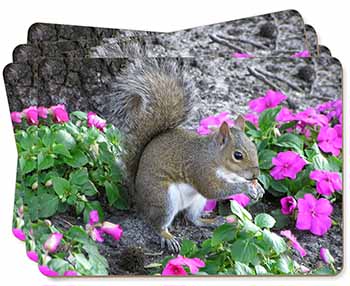 Squirrel by Flowers Picture Placemats in Gift Box
