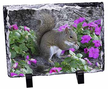 Squirrel by Flowers, Stunning Photo Slate