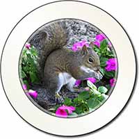 Squirrel by Flowers Car or Van Permit Holder/Tax Disc Holder