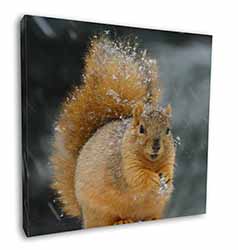 Red Squirrel in Snow Square Canvas 12"x12" Wall Art Picture Print