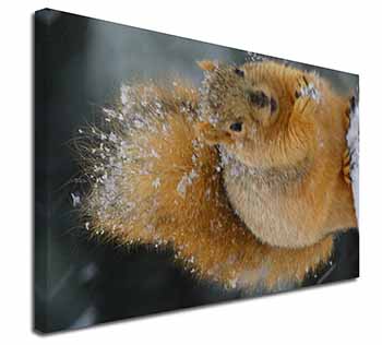 Red Squirrel in Snow Canvas X-Large 30"x20" Wall Art Print