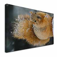 Red Squirrel in Snow Canvas X-Large 30"x20" Wall Art Print