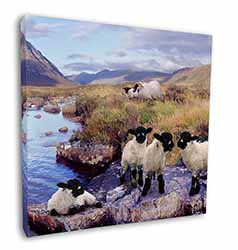 Border Collie on Sheep Watch Square Canvas 12"x12" Wall Art Picture Print