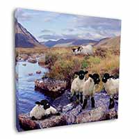 Border Collie on Sheep Watch Square Canvas 12"x12" Wall Art Picture Print