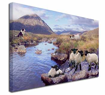 Border Collie on Sheep Watch Canvas X-Large 30"x20" Wall Art Print