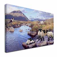 Border Collie on Sheep Watch Canvas X-Large 30"x20" Wall Art Print