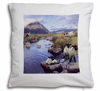 Border Collie on Sheep Watch Soft White Velvet Feel Scatter Cushion