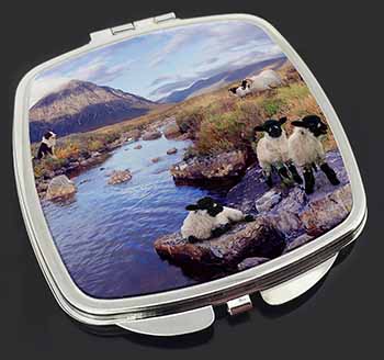 Border Collie on Sheep Watch Make-Up Compact Mirror