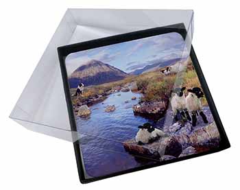4x Border Collie on Sheep Watch Picture Table Coasters Set in Gift Box