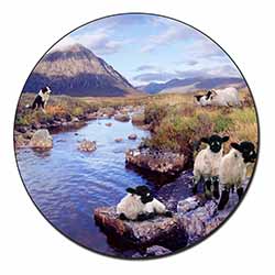 Border Collie on Sheep Watch Fridge Magnet Printed Full Colour