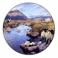 Border Collie on Sheep Watch Fridge Magnet Printed Full Colour