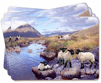 Border Collie on Sheep Watch Picture Placemats in Gift Box