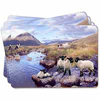 Border Collie on Sheep Watch Picture Placemats in Gift Box