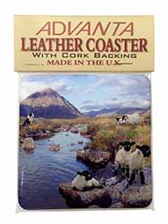 Border Collie on Sheep Watch Single Leather Photo Coaster