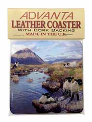 Border Collie on Sheep Watch Single Leather Photo Coaster