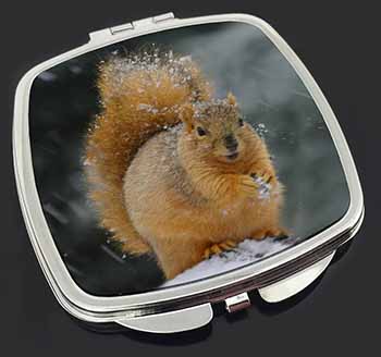 Red Squirrel in Snow Make-Up Compact Mirror