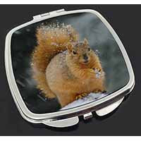 Red Squirrel in Snow Make-Up Compact Mirror