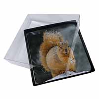 4x Red Squirrel in Snow Picture Table Coasters Set in Gift Box