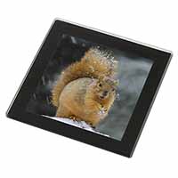 Red Squirrel in Snow Black Rim High Quality Glass Coaster