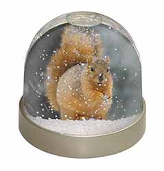 Red Squirrel in Snow Snow Globe Photo Waterball
