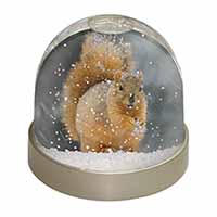 Red Squirrel in Snow Snow Globe Photo Waterball