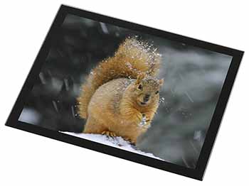 Red Squirrel in Snow Black Rim High Quality Glass Placemat