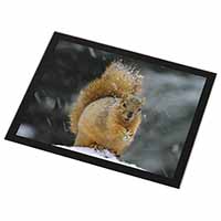 Red Squirrel in Snow Black Rim High Quality Glass Placemat