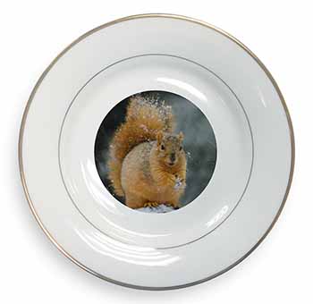 Red Squirrel in Snow Gold Rim Plate Printed Full Colour in Gift Box