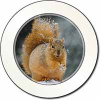 Red Squirrel in Snow Car or Van Permit Holder/Tax Disc Holder