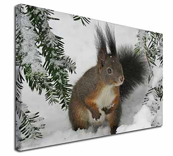 Forest Snow Squirrel Canvas X-Large 30"x20" Wall Art Print