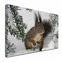 Forest Snow Squirrel Canvas X-Large 30"x20" Wall Art Print