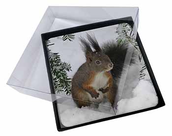 4x Forest Snow Squirrel Picture Table Coasters Set in Gift Box