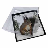 4x Forest Snow Squirrel Picture Table Coasters Set in Gift Box