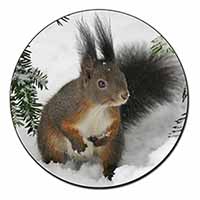 Forest Snow Squirrel Fridge Magnet Printed Full Colour