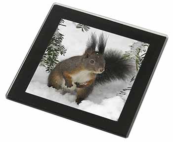 Forest Snow Squirrel Black Rim High Quality Glass Coaster