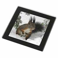 Forest Snow Squirrel Black Rim High Quality Glass Coaster