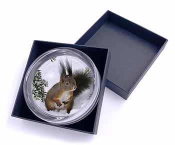 Forest Snow Squirrel Glass Paperweight in Gift Box