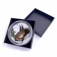 Forest Snow Squirrel Glass Paperweight in Gift Box