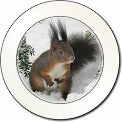 Forest Snow Squirrel Car or Van Permit Holder/Tax Disc Holder