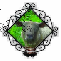 Sheep 