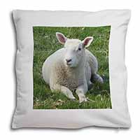 Lamb in Field Soft White Velvet Feel Scatter Cushion - Advanta Group®