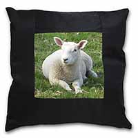 Lamb in Field Black Satin Feel Scatter Cushion - Advanta Group®