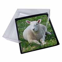 4x Lamb in Field Picture Table Coasters Set in Gift Box - Advanta Group®