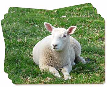 Lamb in Field Picture Placemats in Gift Box