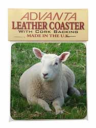 Lamb in Field Single Leather Photo Coaster