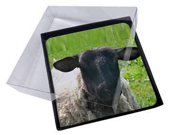 4x Black Face Sheep Picture Table Coasters Set in Gift Box