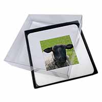 4x Black Face Sheep Picture Table Coasters Set in Gift Box