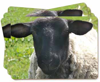 Black Face Sheep Picture Placemats in Gift Box